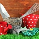 shutterstock_134781281
