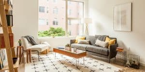 Clean Apartment Living Room Chicago