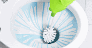 scrubbing toilet