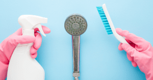 showerhead cleaning